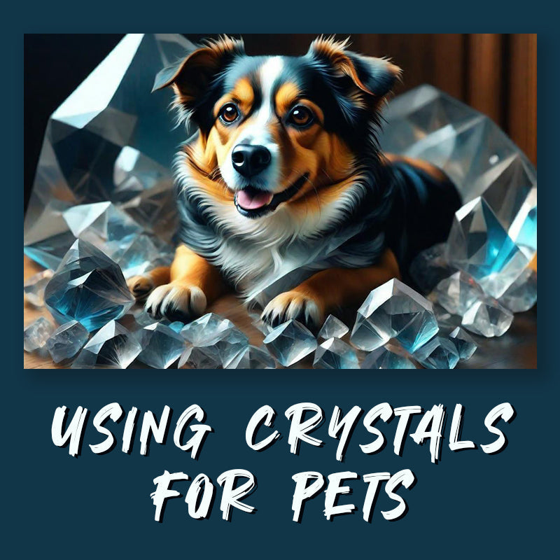Healing Crystals for Your Beloved Pets