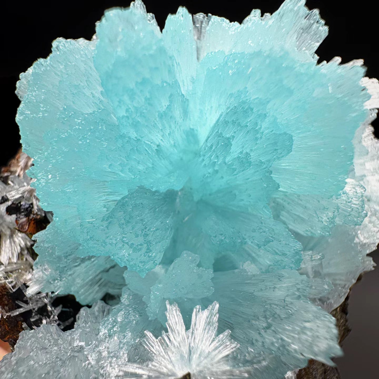 Blue Aragonite meaning:Benefits,Healing Properties & Uses