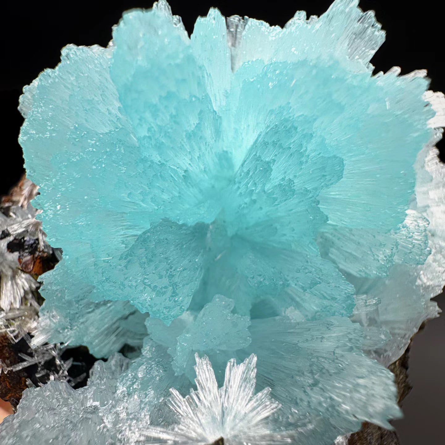 Blue Aragonite meaning:Benefits,Healing Properties ＆ Uses