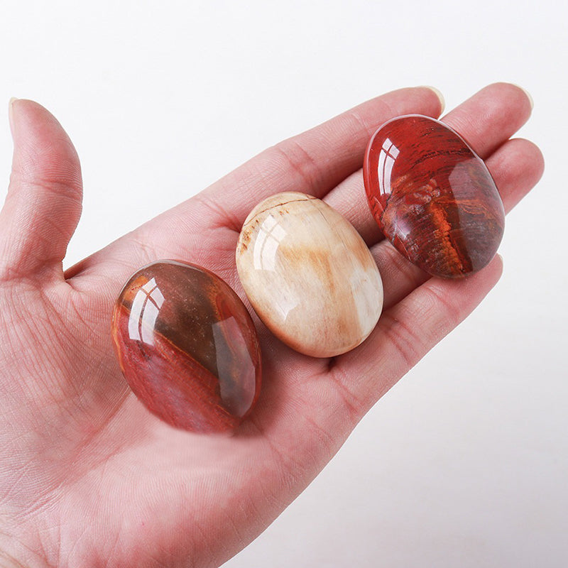 Petrified Wood Crystal Palm Stone - Embrace Emotional Stability & Spiritual Growth