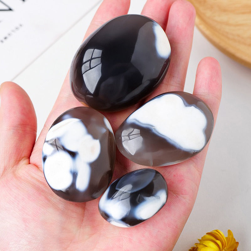 Orca Agate Palm Stone - Emotional Balance, Stress Relief & Harmony