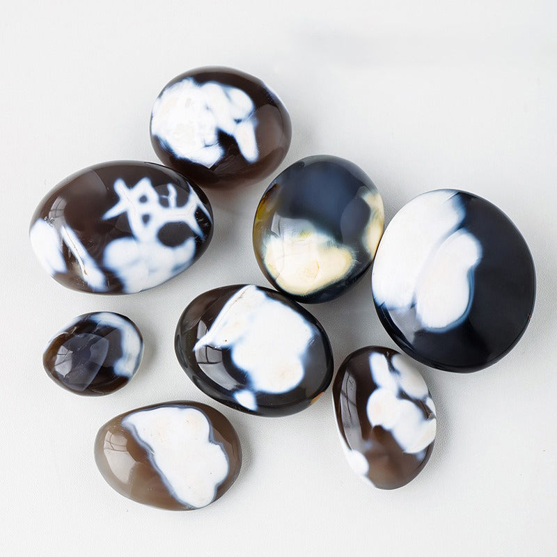 Orca Agate Palm Stone - Emotional Balance, Stress Relief & Harmony