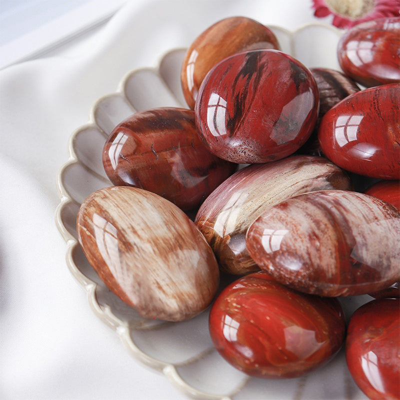 Petrified Wood Crystal Palm Stone - Embrace Emotional Stability & Spiritual Growth